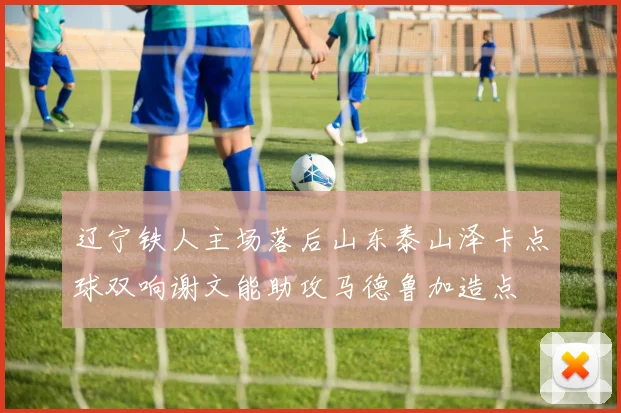 辽宁铁人主场落后山东泰山泽卡点球双响谢文能助攻马德鲁加造点