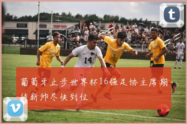葡萄牙止步世界杯16强足协主席期待新帅尽快到位