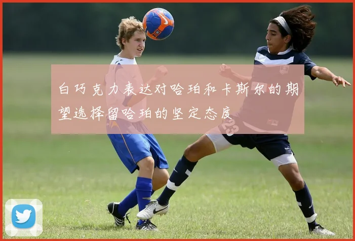 白巧克力表达对哈珀和卡斯尔的期望选择留哈珀的坚定态度